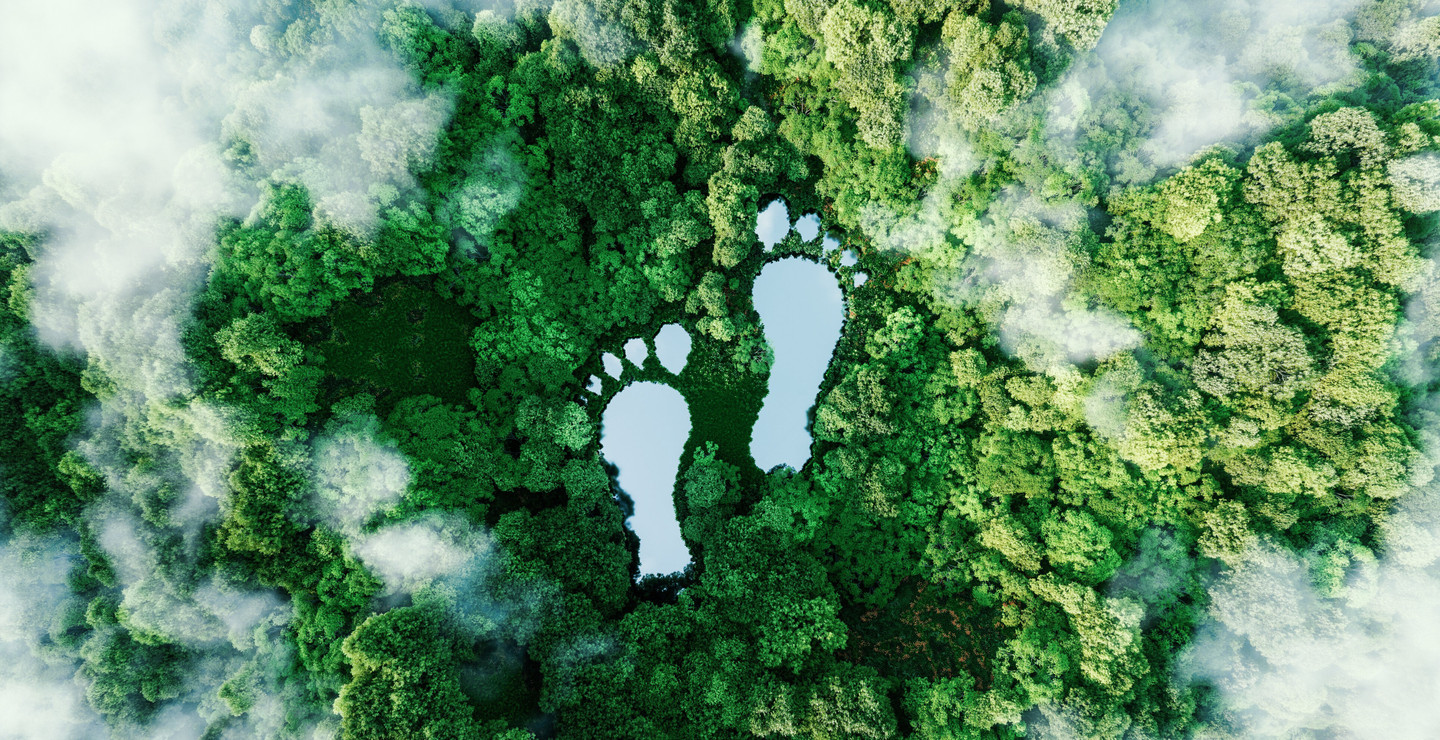 green footprint
